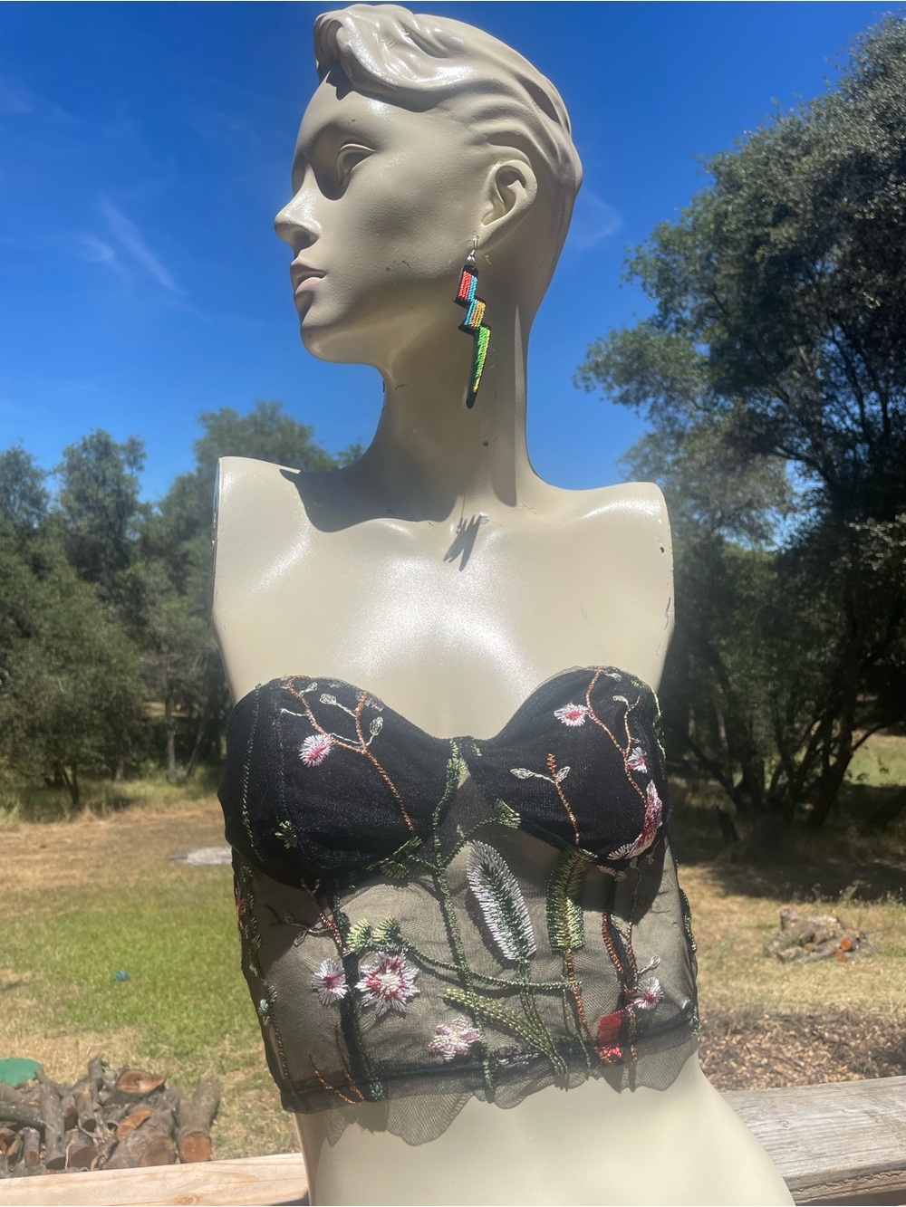 Whimsical Black Sheer Floral Embroidered Bustier Top